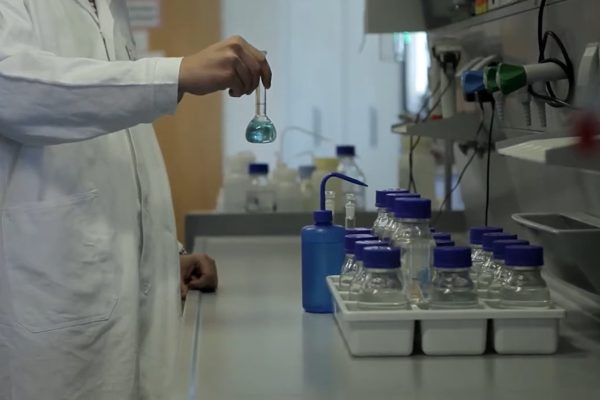 Innovation und Forschung in Centrope – Zukunft gestalten im Vierländereck Innovation und Forschung in Centrope