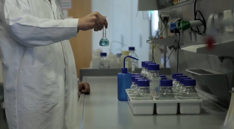 Innovation und Forschung in Centrope – Zukunft gestalten im Vierländereck Innovation und Forschung in Centrope